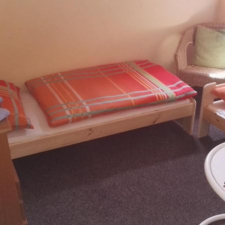 Pension U Loupezaku Hotel Jetrichovice  Room photo